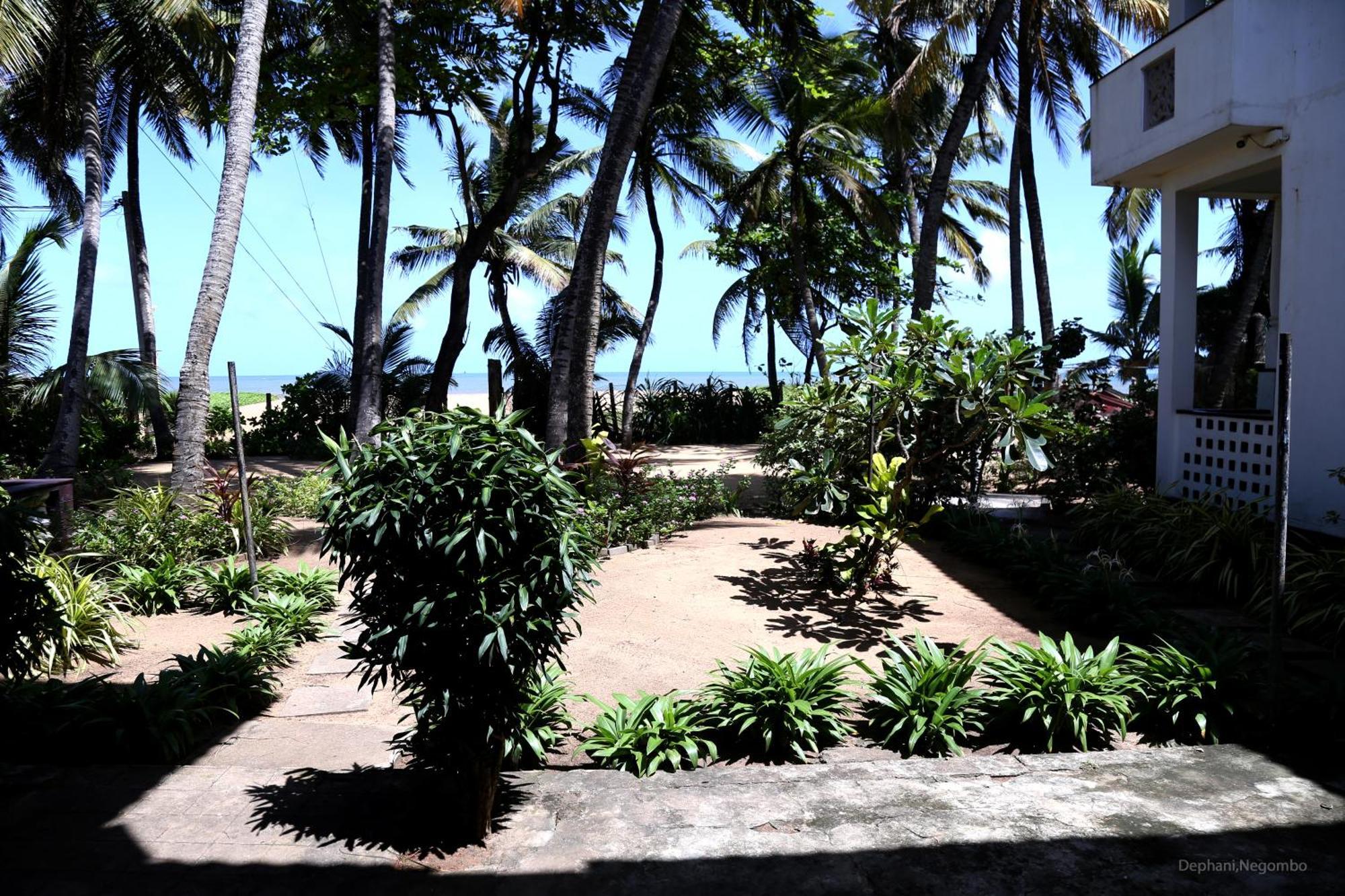 Dephani Beach Hotel Negombo Bagian luar foto